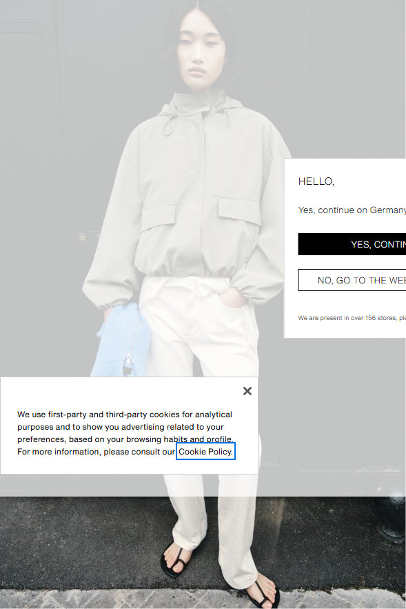 ZARA Coated Hooded Jacket