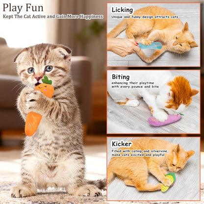 Cleaning Tools - Catnip Cat Toys, 5 Pack, Plush Catnip Toys For