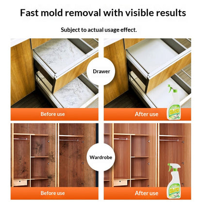 Mold-removal Cleaner For Household Furniture Wood