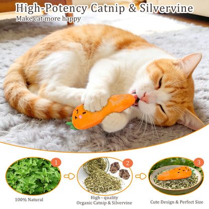 Cleaning Tools - Catnip Cat Toys, 5 Pack, Plush Catnip Toys For