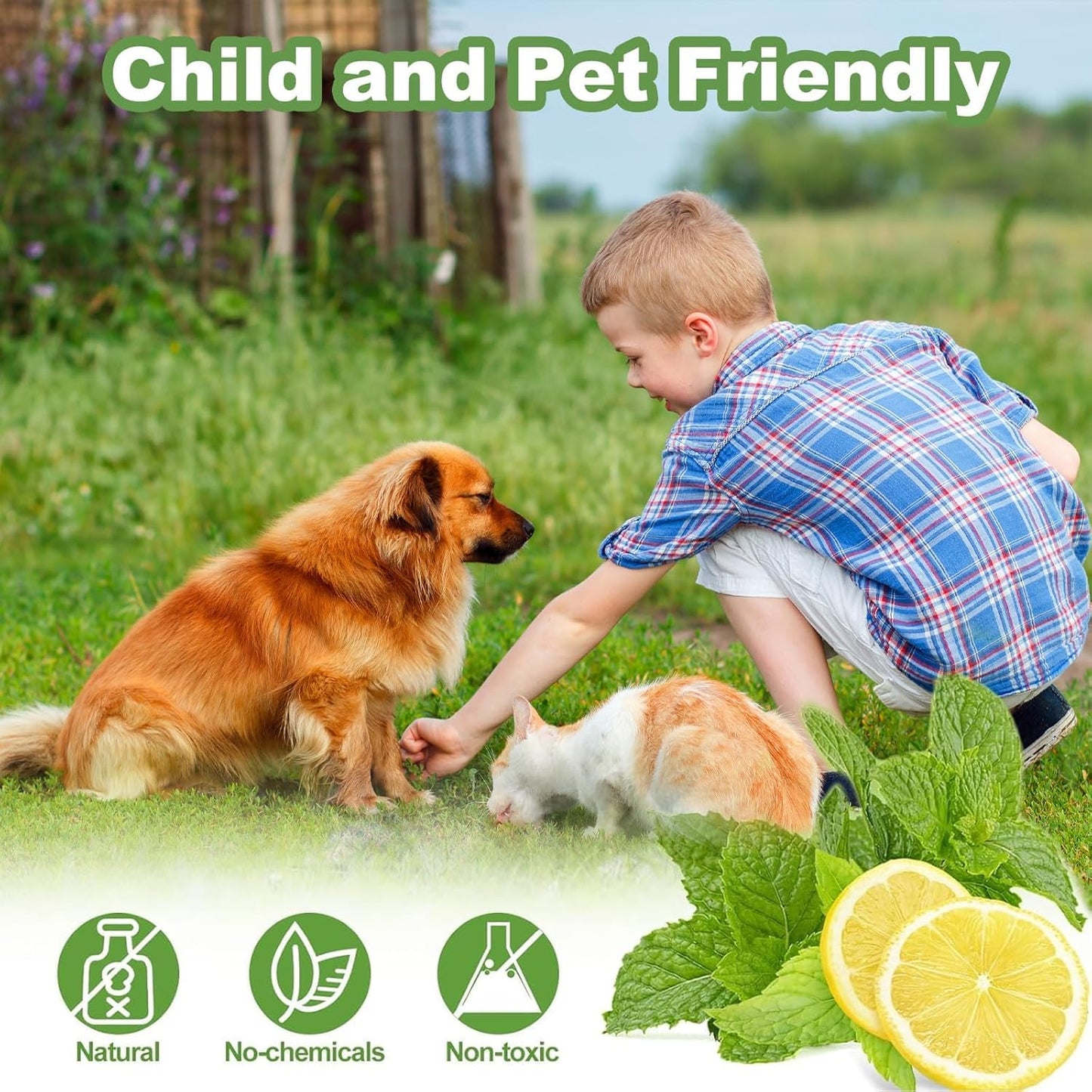 12 Pack Cat Repellent Outdoor, Natural Peppermint Oil Cat Deterrent Outdoor And Indoor, Keep Cats Out Of Yard Permanently, Protect Your Yard And