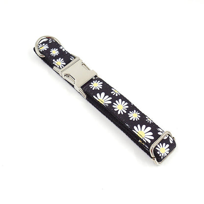 Engraved Dog Collar And Leash Pet Supplies