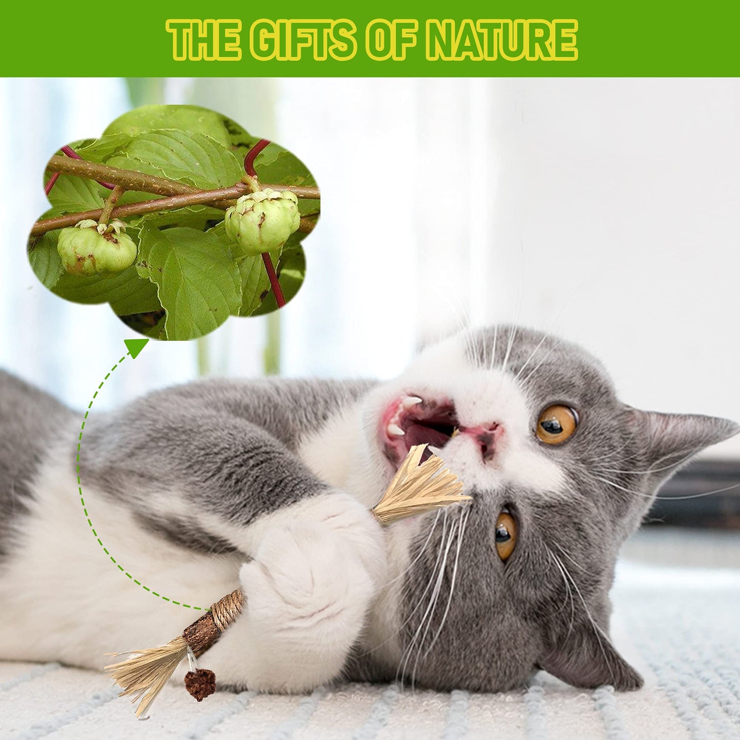 Cleaning Tools - Silvervine Sticks Cat Chew Toys For Indoor Cats