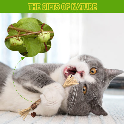 Cleaning Tools - Silvervine Sticks Cat Chew Toys For Indoor Cats