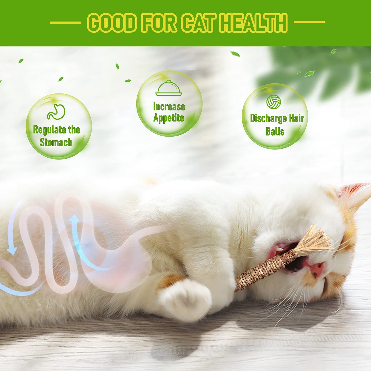 Cleaning Tools - Silvervine Sticks Cat Chew Toys For Indoor Cats