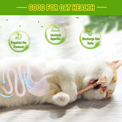 Cleaning Tools - Silvervine Sticks Cat Chew Toys For Indoor Cats