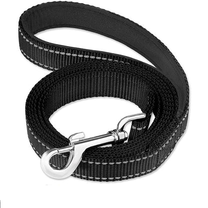 Fashionable Outdoor Nylon Pet Leash