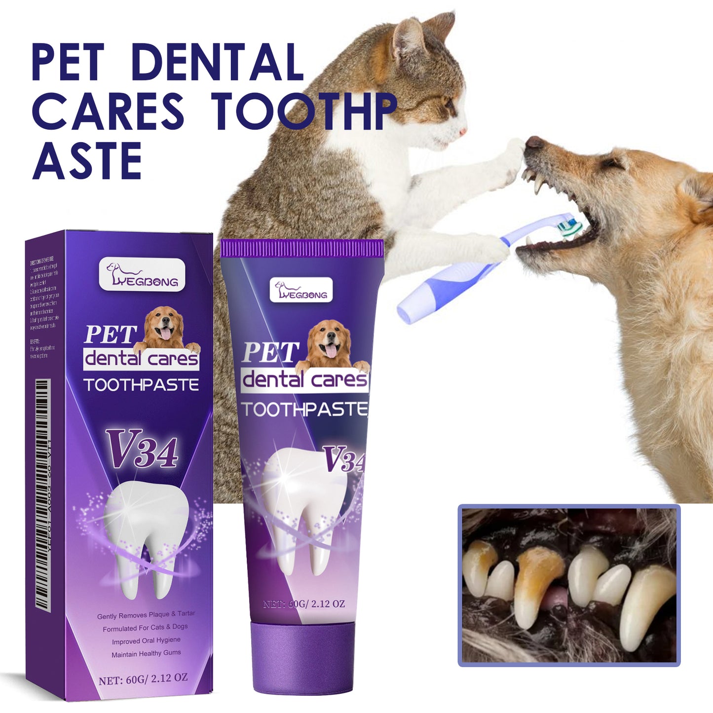 Pet Supplies - Pet V34 Toothpaste 60g 1box