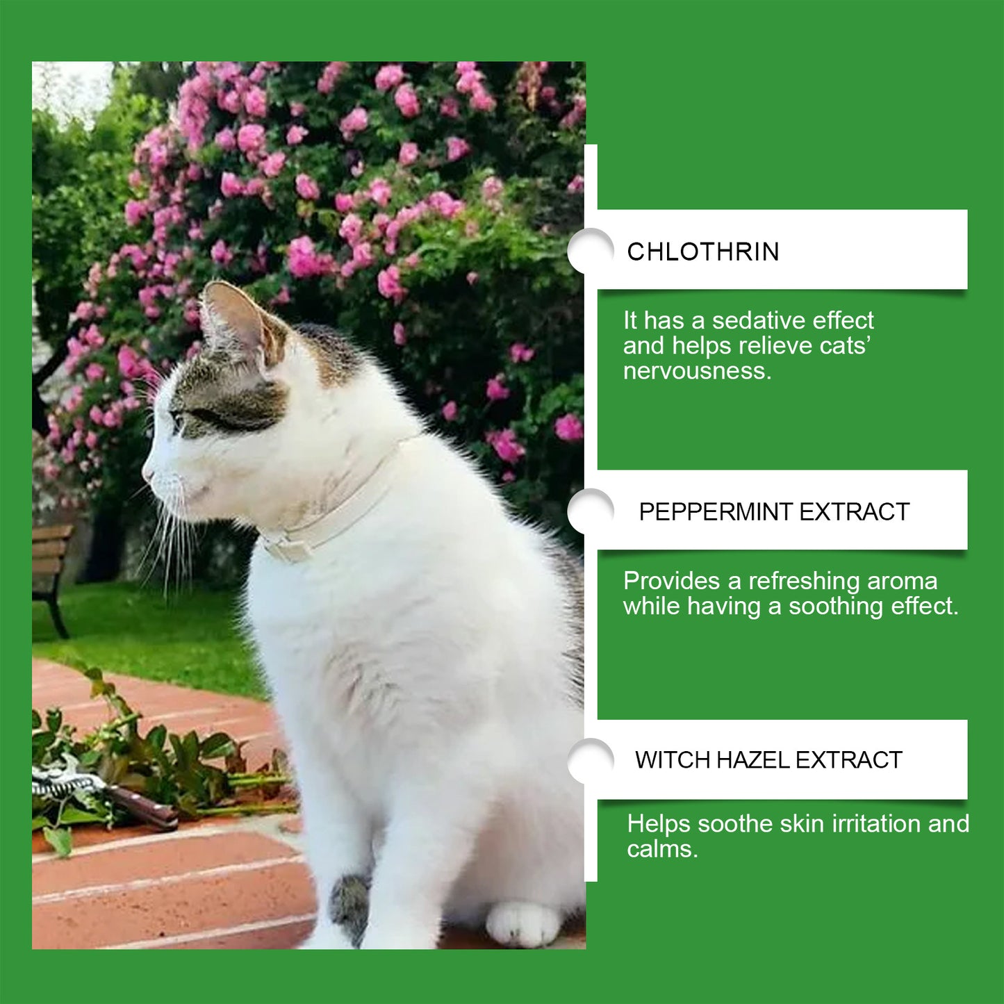 Yegbong Cat Emotional Care Kit Pet Cat Comfort And Calmness, Stress Reduction Care For Agitated Cats