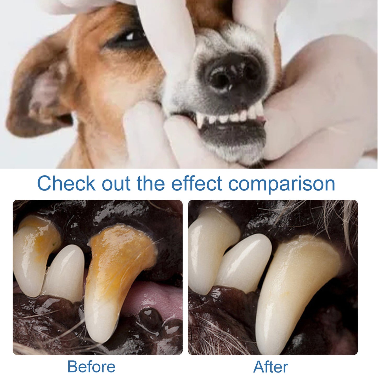 Cross-Border Yegbong Pet Tartar Remover For Removing Dental Calculus, Yellow Teeth, Bad Breath, Teeth Cleaning, Oral Hygiene