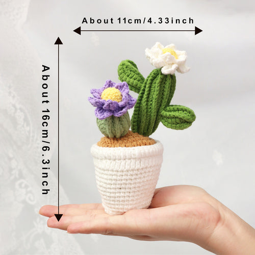 Handmade Crochet Flowering Cactus Pot Ornament Soft Yarn Everlasting Crochet Plant Blooms Indoor Home Tabletop Decorative Ornament