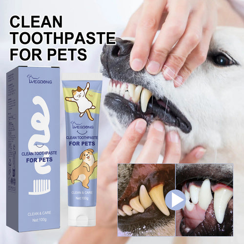 Cleaning Tools - Pet Cleaning Toothpaste 1 0 0ml-box