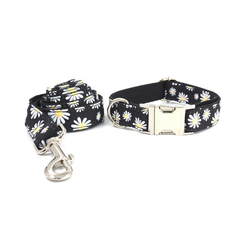 Engraved Dog Collar And Leash Pet Supplies