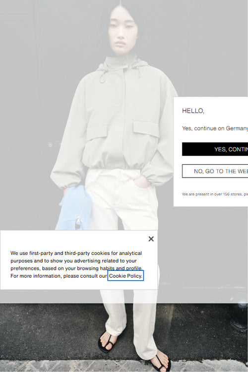 ZARA Coated Hooded Jacket
